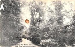 [DC12159] CPA - UNITED STATES - NEW YORK CITY - ROAD ALONG THE BRONX RIVER - BOTANICAL GARDEN - Viaggiata 1925 - Parcs & Jardins