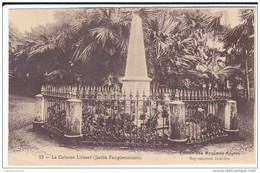 MAURICE     LA COLONNE LIENARD  (JARDIN DES PAMPLEMOUSSES)    EDITEUR  MAGASINS REUNIS - Maurice