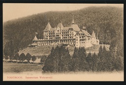 TODTMOOS  SANATORIUM WEHRAWALD - Todtmoos