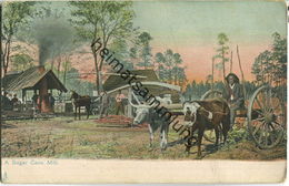 African-Americans - A Sugar Cane Mill - Black Americana