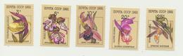 713 USSR 1991 Mi 6192-96 1,0 € Mint Flowers - Andere & Zonder Classificatie