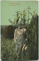 African-Americans - Wa Down Yonder The Corn Fields - Black Americana