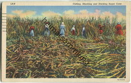 African-Americans - Cutting Shocking And Stocking Sugar Cane - Black Americana