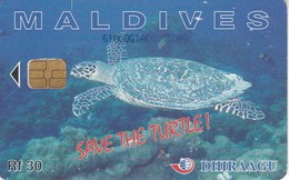 TARJETA DE MALDIVES DE UNA TORTUGA  (TURTLE) - Maldives