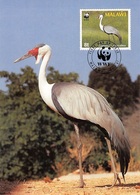 MALAWI - MC WWF 1987 BIRDS /ak547 - Malawi (1964-...)