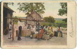 African-Americans - Weighing Cotton - Black Americana