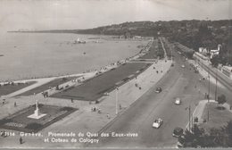 GENEVE  PROMENADE DU QUAI DES EAUX-VIVES ET COTEAU DE COLOGNY - Cologny