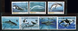 Animaux Marins Ob - CL 28 P1 - Baleines