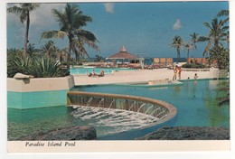 Paradise Island Pool , Neuve - Bahamas