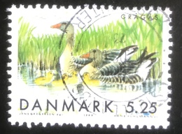 Danmark - 1999 -  (o) Used - Vogels - Used Stamps