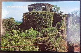 United Kingdom - Old Dynevor Castle, Llandeilo - Carmarthenshire