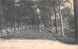 Une Allée Du Parc  - Koekelberg - Koekelberg