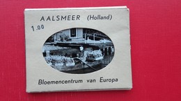 Aalsmeer-10 Photos.Flowers - Aalsmeer