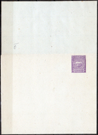 Australia: N.S.W.-0007 - Fascetta Per Stampe, "Centenario", Lunga Mm 285 , Nuova - - Covers & Documents