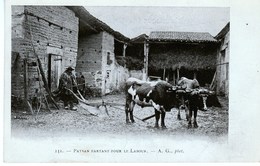 AUVERGNE  LE LABOUR  CARTE PRECURSEUR - Auvergne