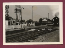 210420B - PHOTO CHEMIN DE FER - 80 PICQUIGNY La Gare Train - Picquigny