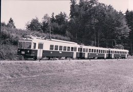 Chemin De Fer Lausanne Echallens Bercher, Train à Fey, Photo 1967 LEB 55905 - Bercher