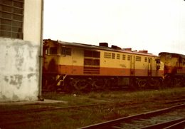 Lot De 3 Photographies D'une Locomotive 842 - Reproduction - Treinen