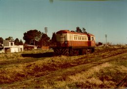 Lot De 3 Photographies D'une Locomotive 10795  - Reproduction - Treni