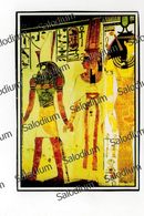 EGYPT - Egitto - Nefertari Tomb - Musea