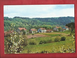 CPM -  88 - Granges Sur Vologne - Village De Montagne - Les Evelines - Granges Sur Vologne