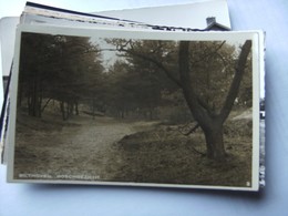 Nederland Holland Pays Bas Bilthoven Met Fraai Boschgezicht Fotokaart - Bilthoven