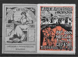 Italie - Grande Vignette Liride - Bologna 1919 - 100x69 Mm - Neuf * Avec Charnière - TB - Unclassified