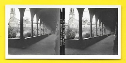 Vues Stéréos FLORENCE Chartreuse Duvaldema - Stereo-Photographie