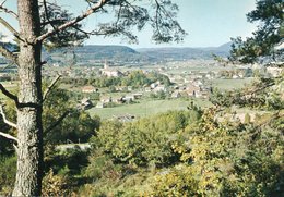 88  ANOULD   Vue Générale - Anould