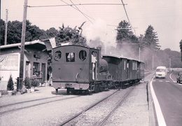 Chemin De Fer Lausanne Echallens Bercher, Train Spécial à Jouxtens-Mezery Station, Photo 1973 BVA LEB 193.4 - Bercher