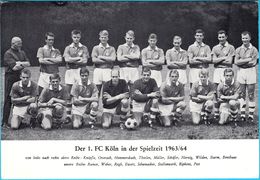 1. FC KOLN - Germany Football Club Old Photo 1963/64. * With Autographs On Back - Print * Soccer Fussball Deutschland - Autogramme