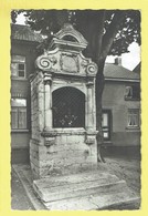 * Kortenberg - Cortenbergh (Vlaams Brabant) * (Uitg Verduystert) Kapellestraat, Monument, Mémorial, Photo, Rare - Kortenberg