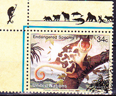 UNO New York - Tüpfelkuskus (Phalanger Maculatus) (MiNr: 856) 2001 - Gest Used Obl - Used Stamps