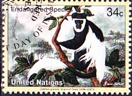 UNO New York - Guereza (Colobus Guereza) (MiNr: 859) 2001 - Gest Used Obl - Oblitérés