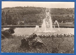 Deutschland; Reichenbach I. Vogtl.; Park Des Friedens - Reichenbach I. Vogtl.