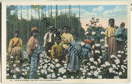 African-Americans - Down Where The Cotton Blossoms Grow - Black Americana