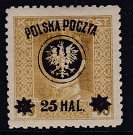 POLAND 1918 Lublin P.11.5 Fi 23b Used Signed Jungjohann - Usados