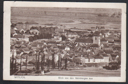 Allemagne, Wittlich, Blick Von Den Weinbergen Aus - Wittlich