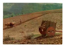 MACEDO DE CAVALEIROS - Lavrando A Terra No Valbenfeito  (2 Scans) - Bragança