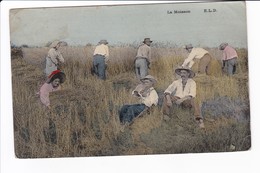 Lot 4 Cpa - La Moisson - Fenaison - Le Faucheur- Une Rencontre Pastorale - Campesinos