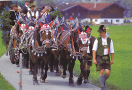 QA - Rottach-Egern (Germany) - Custom « Rund Um Den Tegemsee. Oberbayern » - Douane