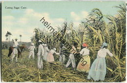 African-Americans - Cutting Sugar Cane - Black Americana