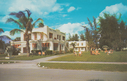 Saratosa Florida - Rose Villa - Hotel Motel - 2 Scans - Sarasota