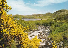 Ecosse, Ross Shire, River Gruinard - Ross & Cromarty