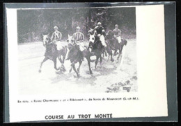 Haras De MAUREVERT  - Course Dau Trot Monté   - Coupure De Presse (encadré Photo) 1951 - Equitation