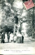 N°71271 Bis -cpa Le Havre -forêt De Mongeon- Le Chêne Creux- - Forêt De Montgeon