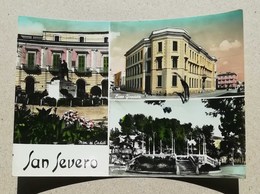 Cartolina Illustrata San Severo-Vedute Diverse, Per Bologna 1956 - San Severo