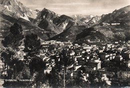 CARRARA-PANORAMA-1954-VERA FOTO - Carrara