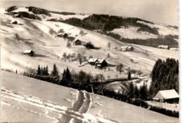Ski- U. Ferienhaus Stangen Ob Ebnat-Kappel * 18. 1. 1960 - Ebnat-Kappel