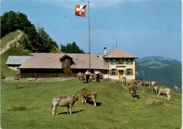 Berggasthaus Kreuzegg - Ligingen Post Wattwil (33660) * 6. 9. 1971 - Wattwil